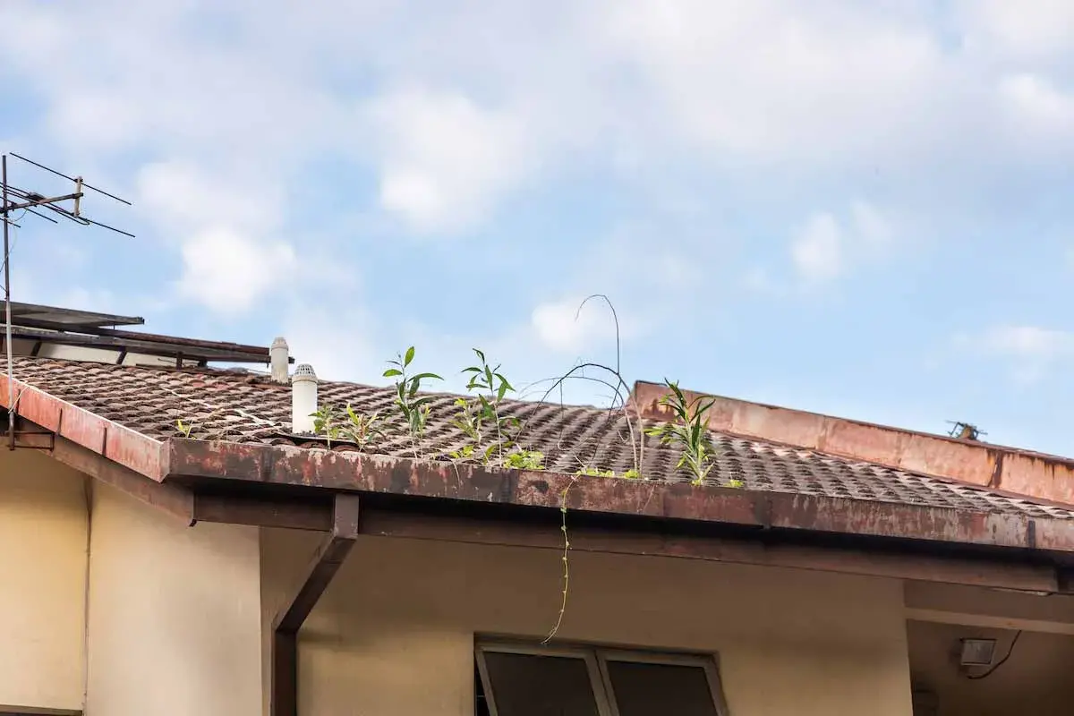 commercial gutters in san diego