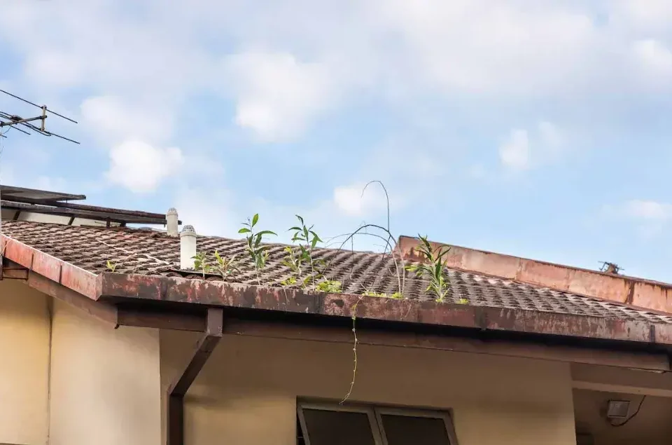 Seamless gutters optimize home water management.