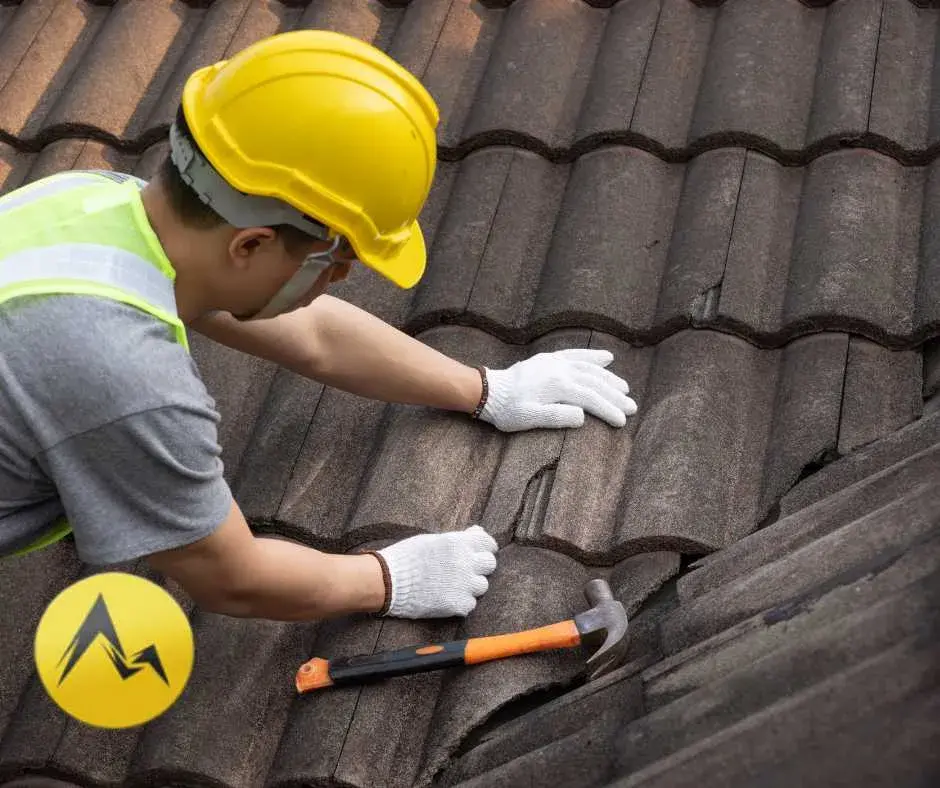 Roof Rescue