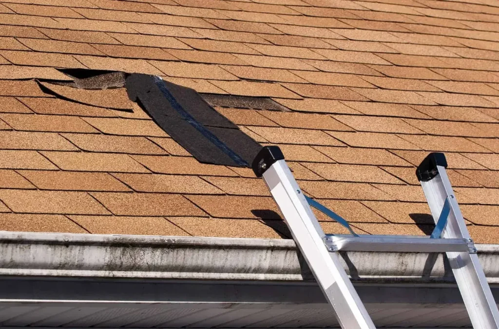 finding and sealing roof leaks