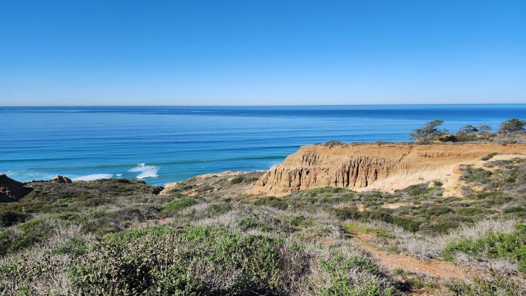 Torrey Pines State Reserve in San Diego, CA