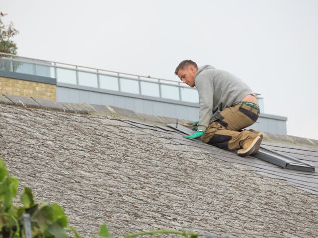 Common Signs Your Shingle Roof Needs Repairs