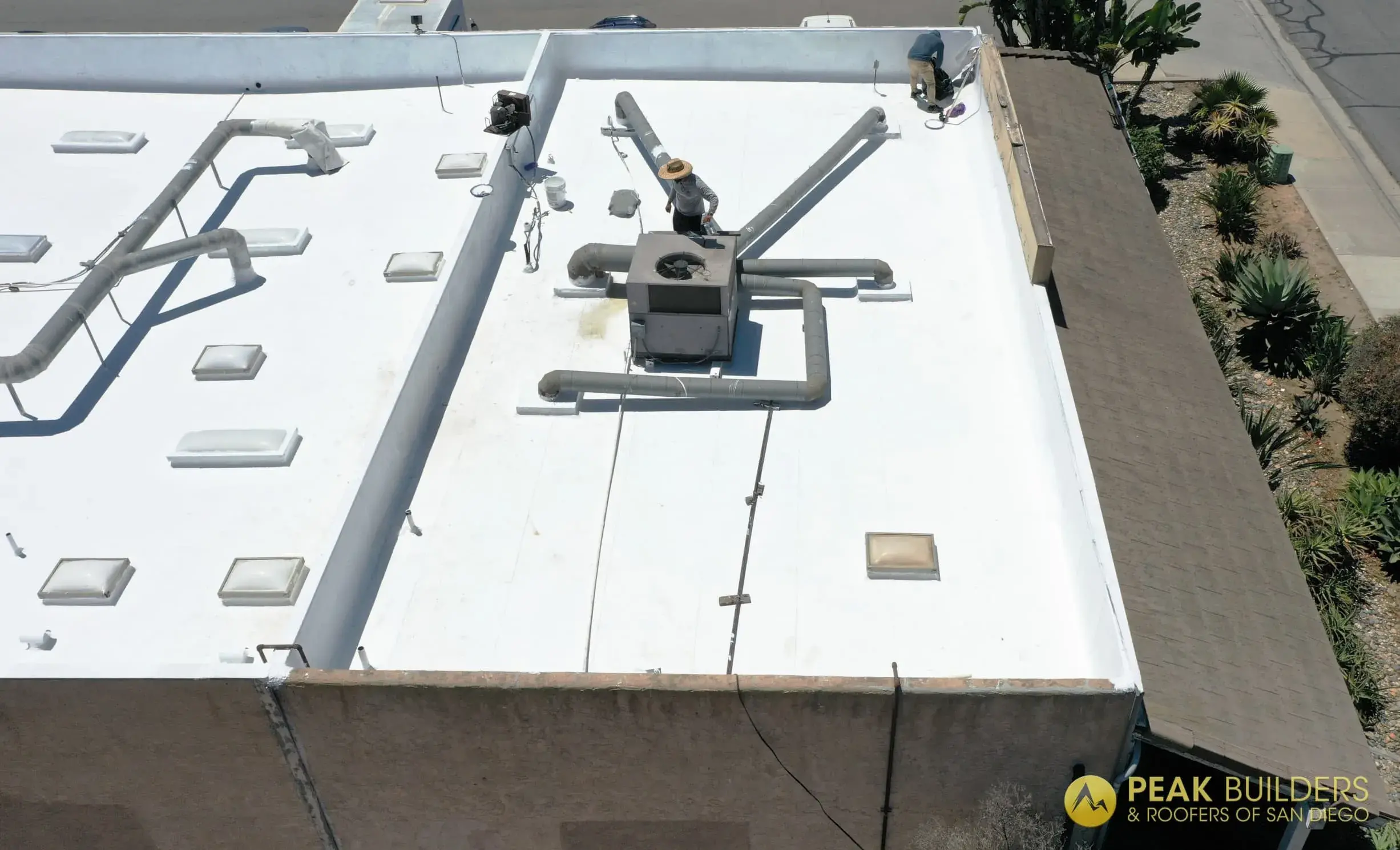 Project main view